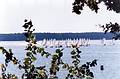 Segler auf dem Großen Müggelsee in Berlin Treptow-Köpenick